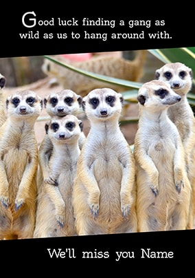 Meerkat Leaving Card - We'll miss you