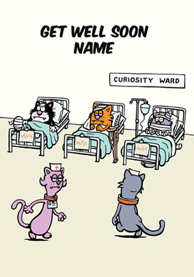 Learn to Speak Cat - Get Well Soon Card Curiosity Ward
