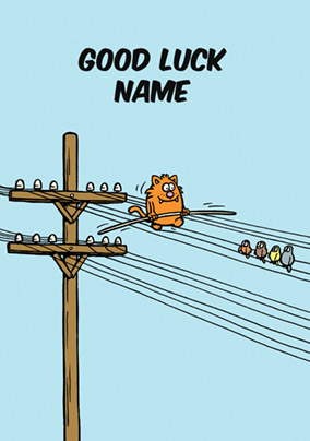 Learn to Speak Cat - Good Luck Card Balancing Act