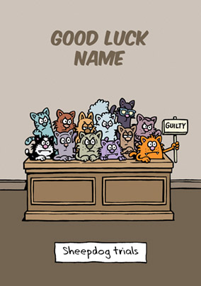 Learn to Speak Cat - Good Luck Card - Sheep Dog Trials