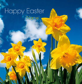 Framed - Daffodils Easter