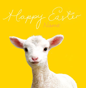 Framed - Little Lamb Easter