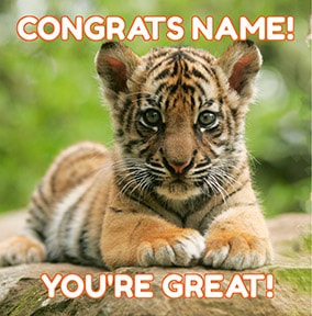 Mint - Congratulations Tiger Card