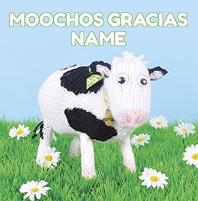 Moochas Gracias Thank You Card - Knit & Purl