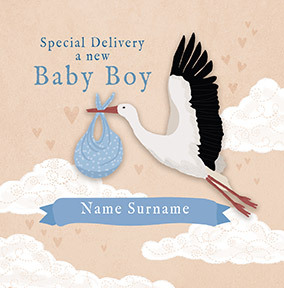 Special Delivery a New Baby Boy personalised Card
