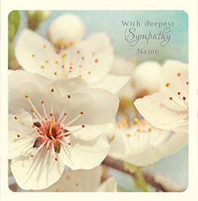HIP - With Deepest Sympathy