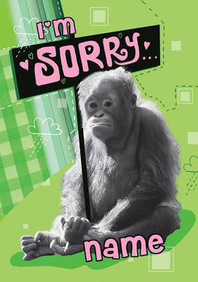 Quitting Hollywood - I'm Sorry Monkey Card
