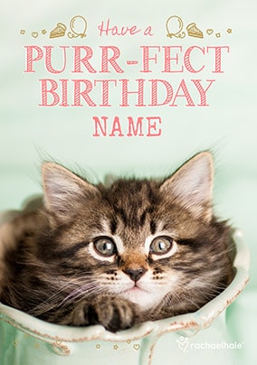 Have a Purr-fect Birthday Kitten Birthday Card