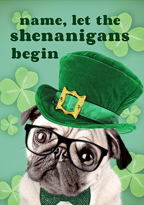 ZDISC 02/03 PETA FLAT FACE DOGS ISSUE - Irish Pug Personalised St. Patrick's Card