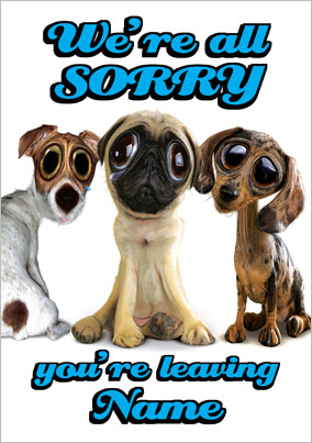 Goof Gallery - We're Sorry You're Leaving