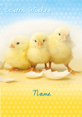 Forget Me Not - Easter Fluffy Chicks