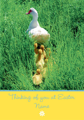 Carlton - Easter Waddle