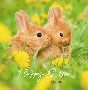 Bunnies amongst Dandelions Easter Card