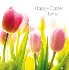 Framed - Easter Tulips