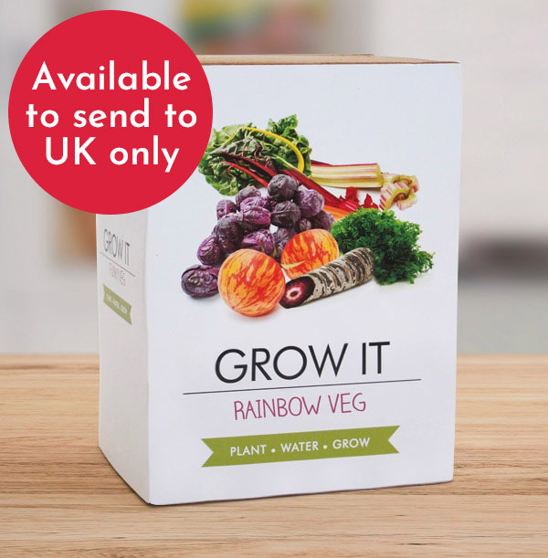 Rainbow Veg Grow it Kit