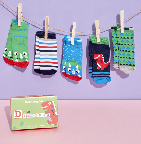 Toddlers Dinosaur Sock Pack 1-2 Years