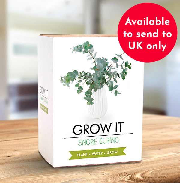 Snore Curing Grow It Kit