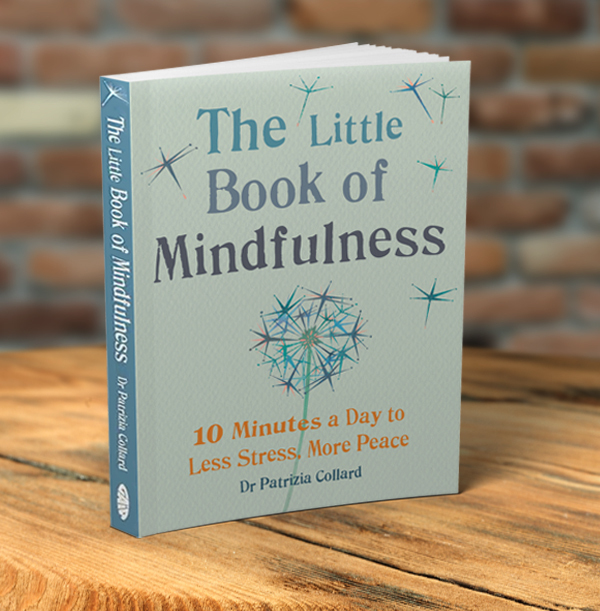 ZDISC The Little Book of Mindfulness