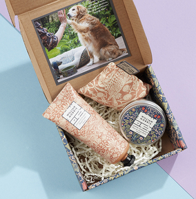 William Morris at Home Pet Paws & Palms Essentials Kit