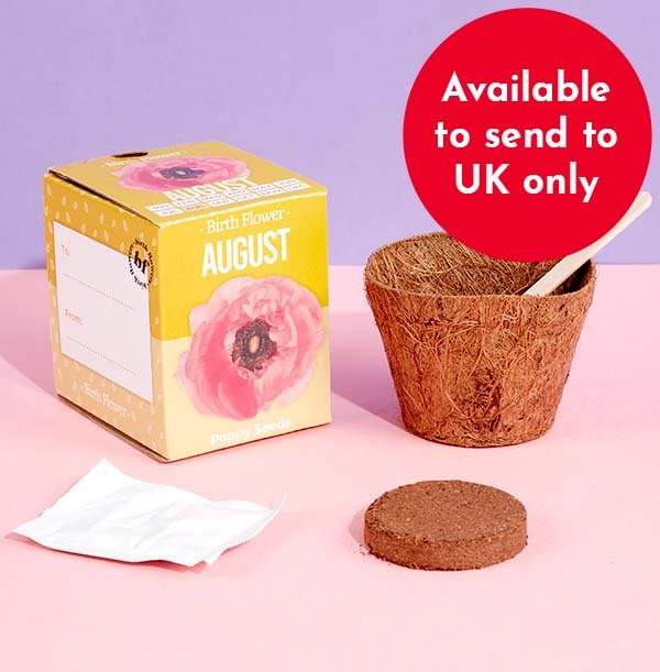 NOW HALF PRICE August Grow Your Own Birth Flower Kit - Poppy