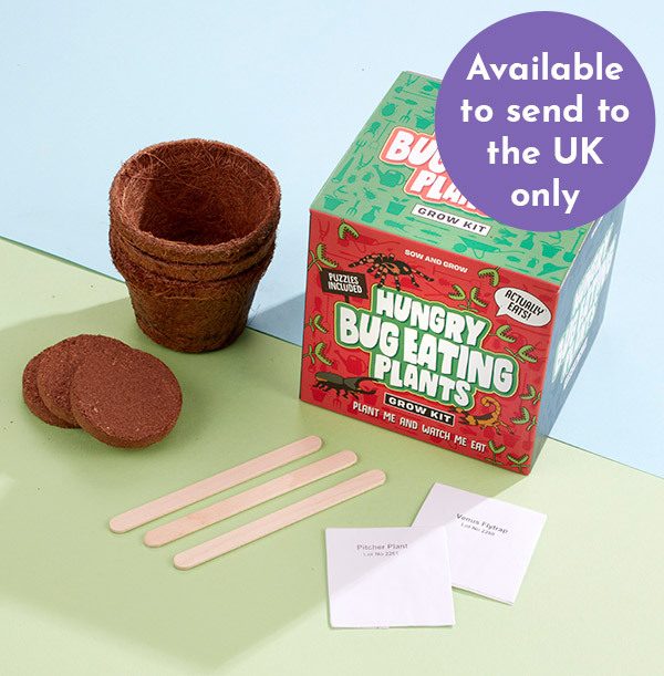 Hungry Bug Eating Grow Kit