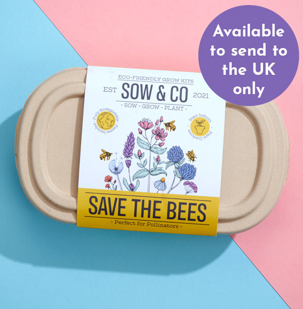 Save The Bees Grow Kit