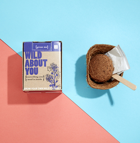 Mini Grow It - Wild Flowers