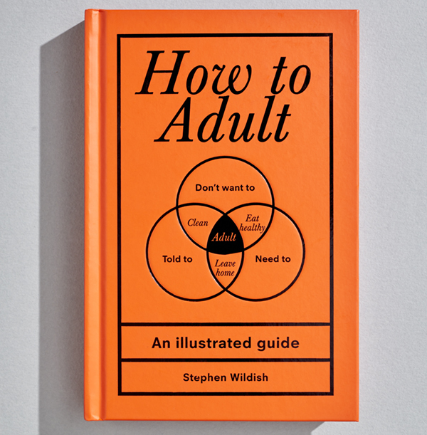 ZDISC How to Adult Book