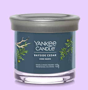 Yankee Candle Small Bayside Cedar