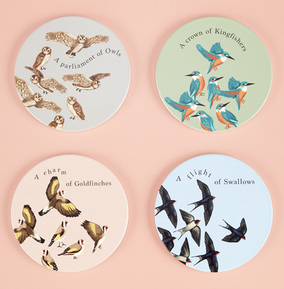 RSPB Birds Coasters Set
