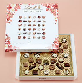 Lindt Mini Pralines Chocolate Box