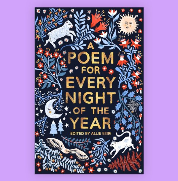 Photo of Poem for Every Night of the Year Book