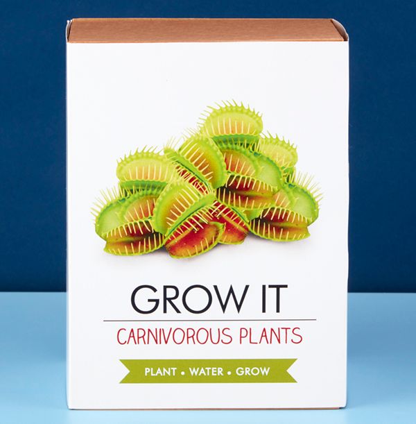 product image gallery_2