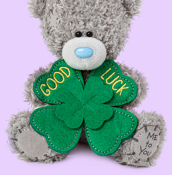 Pigeon teddy bear shop