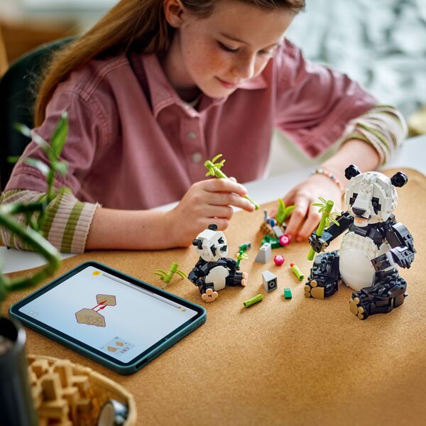product image gallery_2