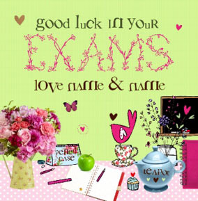 Cupcakes & Wellies - Good Luck With Exams