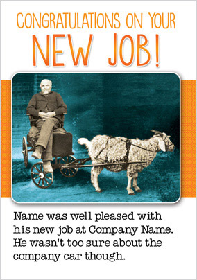 Jolly Follies - New Job, company car