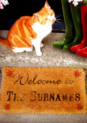 Home Sweet Home - Cat