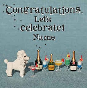 Bees Knees - Congratulations Let's Celebrate