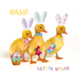 Cardmix - Easter Ducks