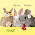 Cardmix - Easter Bunnies