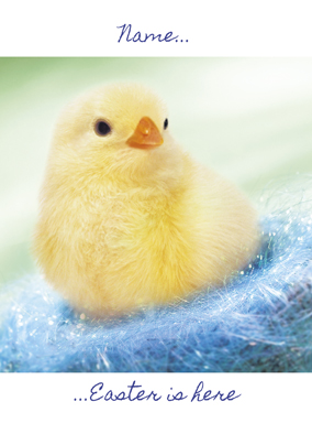 Carlton - Fluffy Photo Chick Easter Card