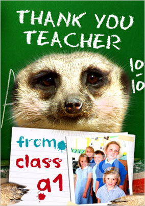 Meerkat - Thank You Teacher PU