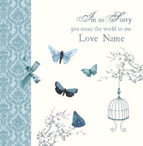 Butterflies & Blossom - I'm Sorry