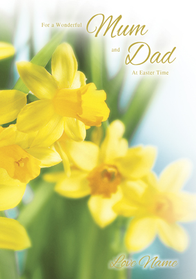 Forget Me Not - Easter Daffodils for Mum and Dad