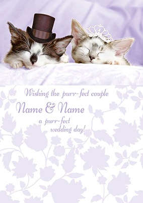 Carlton - Wedding Kittens