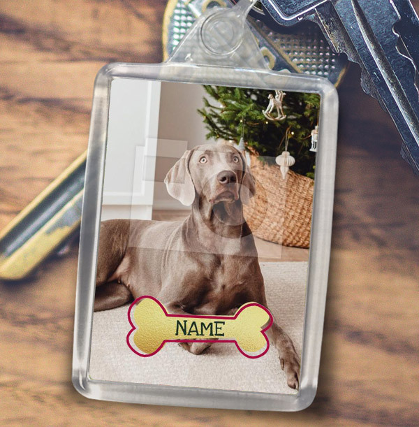 Dog Photo & Name Keyring