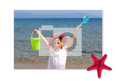 Starfish Holiday Photo Postcard