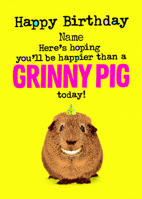 Happier than a Grinny Pig Postcard