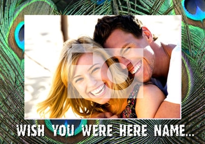 Peacock Themed Personalised Holiday Postcard